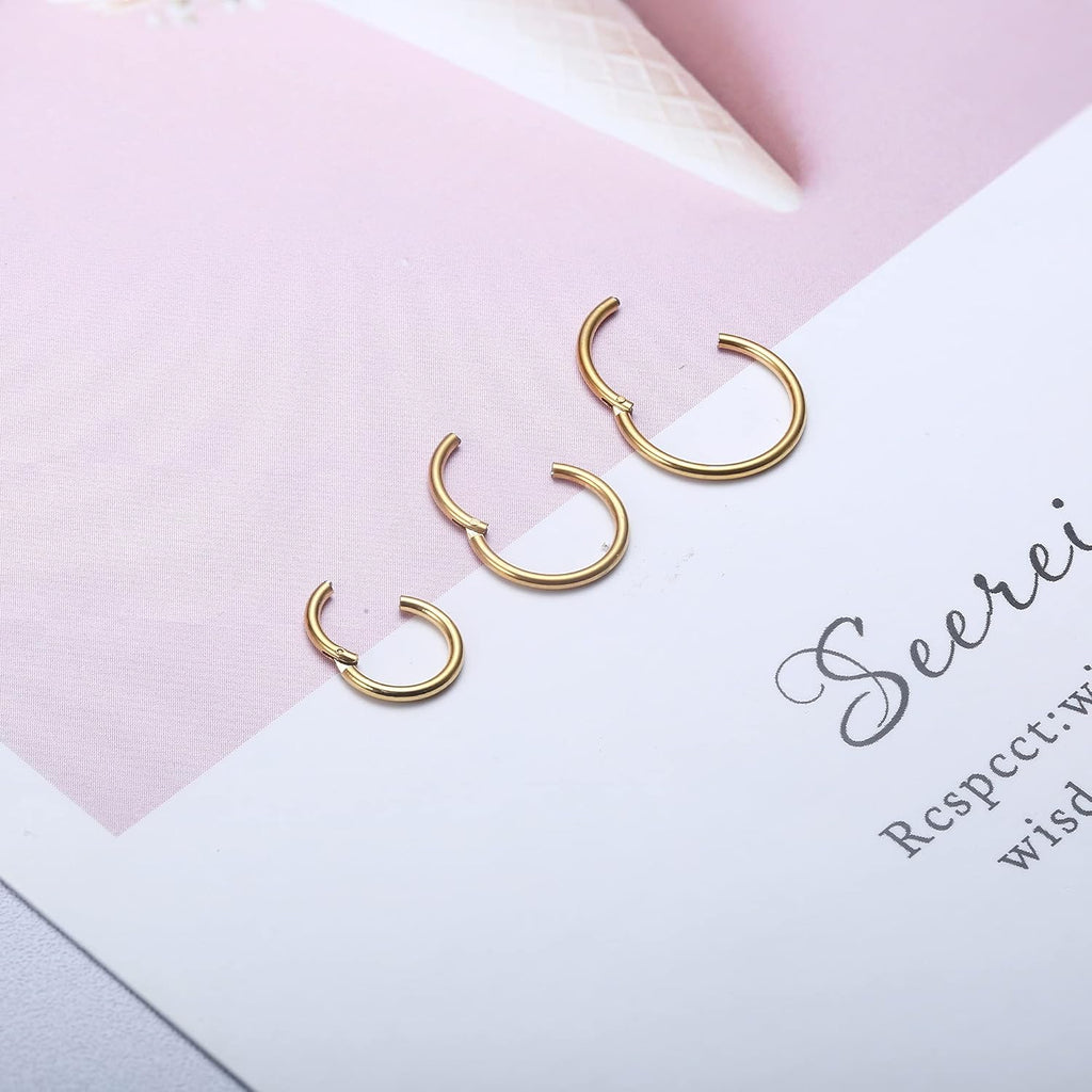 12pcs 16G Rook Piercing Jewelry Eyebrow Rings Stainless Steel Belly Lip Ring Cartilage Hoop Rook Daith Earrings Tragus CZ Body Piercing Curved Barbell - 我的商店我的商店我的商店