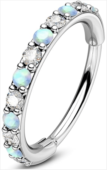 20G Nose Rings Hoops, 316L Surgical Steel Hinged Segment Nose Piercing Jewelry, Septum Lip Eyebrow Rings Cartilage Conch Rook Helix Tragus Daith Earrings For Women and Men - 6/7/8MM - QIAO Crystal我的商店QIAO Crystal