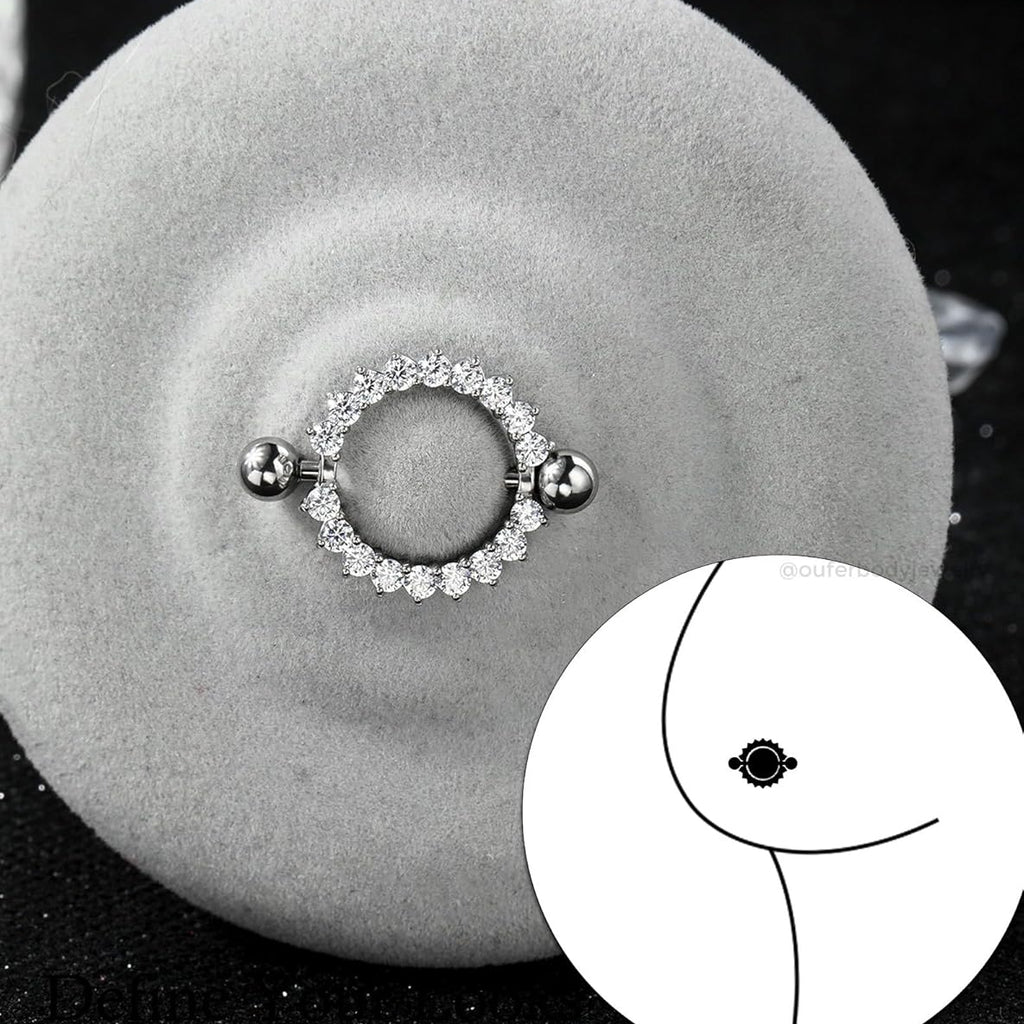 2PCS Nipple Piercing Jewelry, 14G 316L Surgical Steel Nipple Rings for Women, Crystal Circle Shield Body Piercing Jewelry - 14MM - QIAO CrystalQIAO CrystalQIAO Crystal