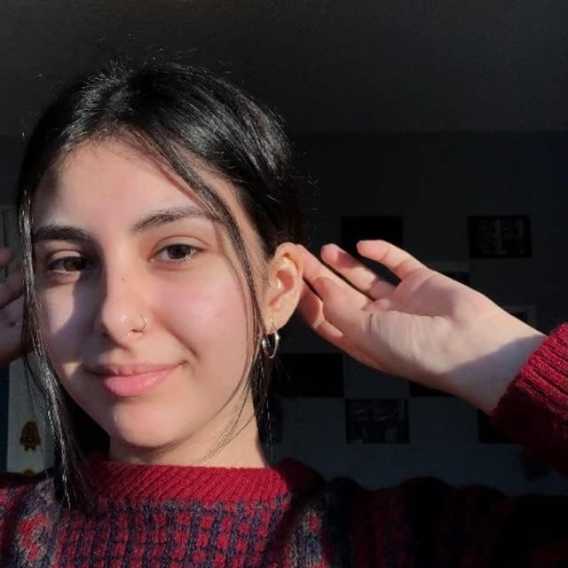 D.Bella Fake Septum Hoop 20G Faux Nose Piercing Hoop Clip on Nose Rings Non Piercing Fake Septum Lip Ear Ring Faux Body Piercing Jewelry for Women Men - QIAO CrystalQIAO CrystalQIAO Crystal